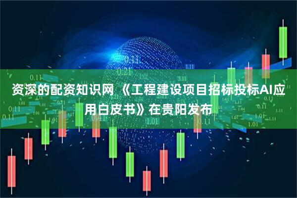 资深的配资知识网 《工程建设项目招标投标AI应用白皮书》在贵阳发布
