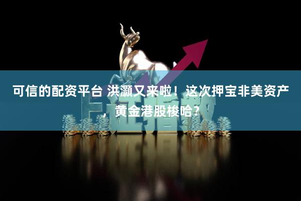 可信的配资平台 洪灝又来啦！这次押宝非美资产，黄金港股梭哈？