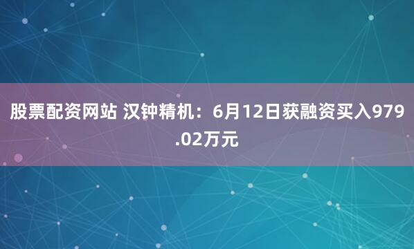 股票配资网站 汉钟精机：6月12日获融资买入979.02万元