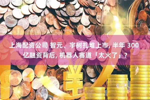 上海配资公司 智元、宇树扎堆上市, 半年 300 亿融资背后, 机器人赛道「太火了」?